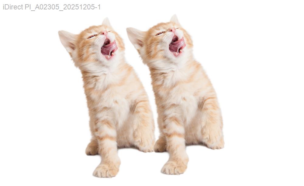 「揭秘台灣寵物美容市場：各地價格大不同？你的毛孩超值還是超花錢？」